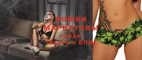 шишки Инсар