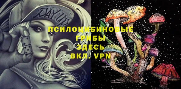трава Щёлкино