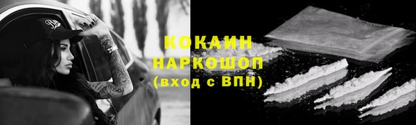 гашик Каменногорск