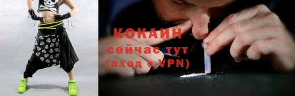 шишки Инсар