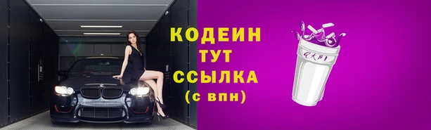 прущие грибы Каменка