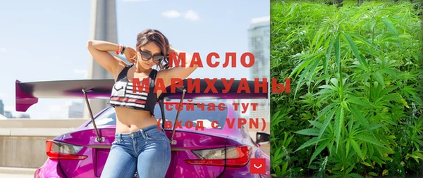 шишки Инсар