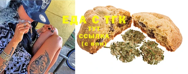 шишки Инсар