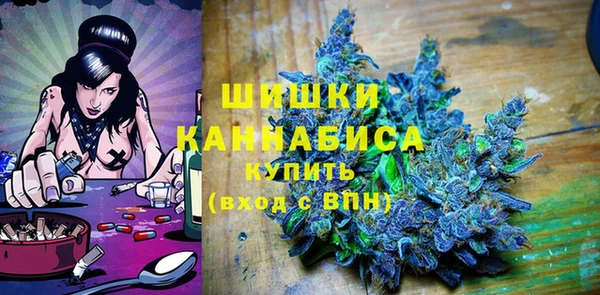 шишки Инсар