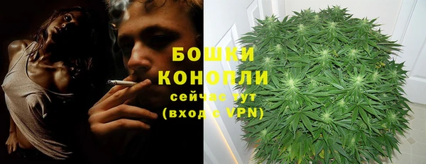 гашик Каменногорск