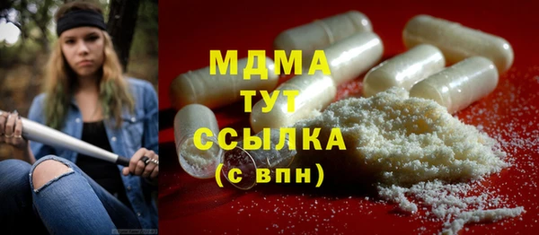 шишки Инсар
