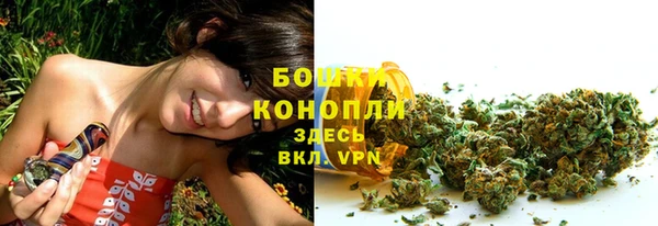 гашик Каменногорск